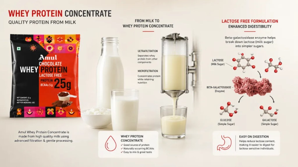 Amul Whey Protein concentrate with beta-galactosidase and lactose-free formulation explained