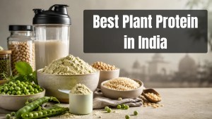 Best plant protein in India compared for daily protein needs